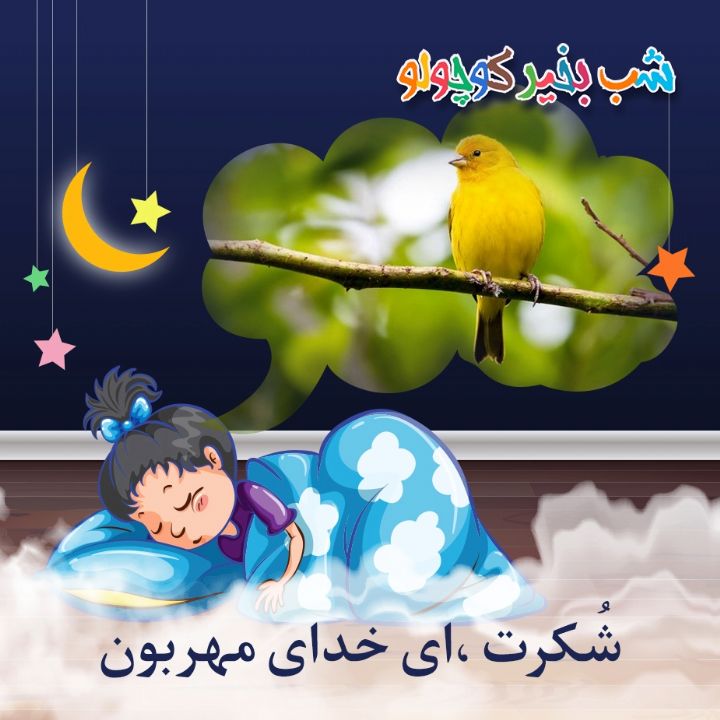 جلد کتاب صوتی شُکرت ،ای خدای مهربون