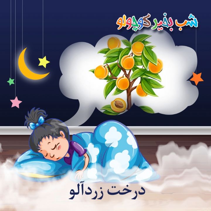 جلد کتاب صوتی درخت زردآلو (471259)