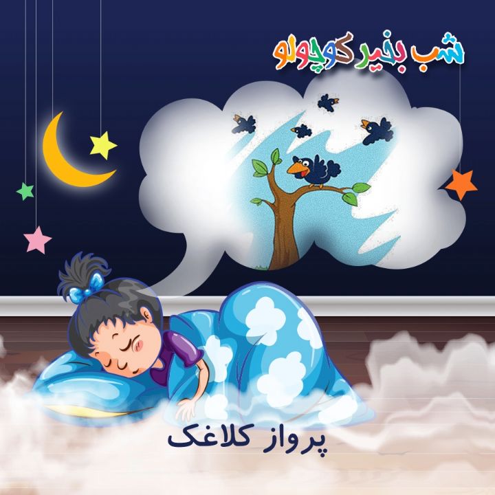 جلد کتاب صوتی پرواز کلاغک