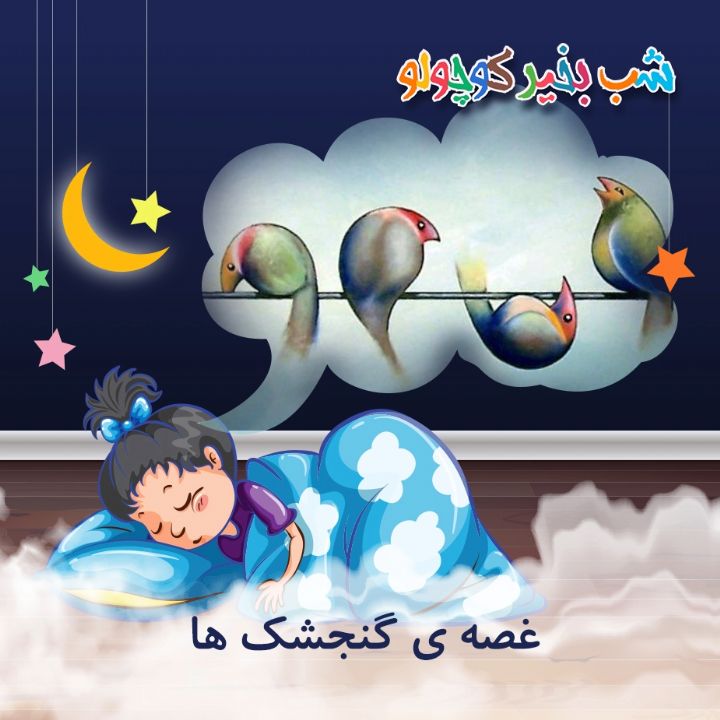 جلد کتاب صوتی غصه ی گنجشک ها