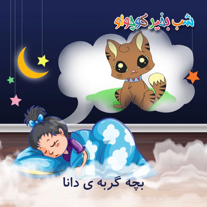جلد کتاب صوتی بچه گربه ی دانا