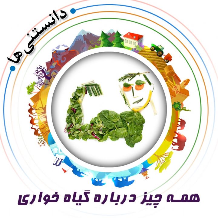 جلد کتاب صوتی همه چیز درباره گیاه خواری