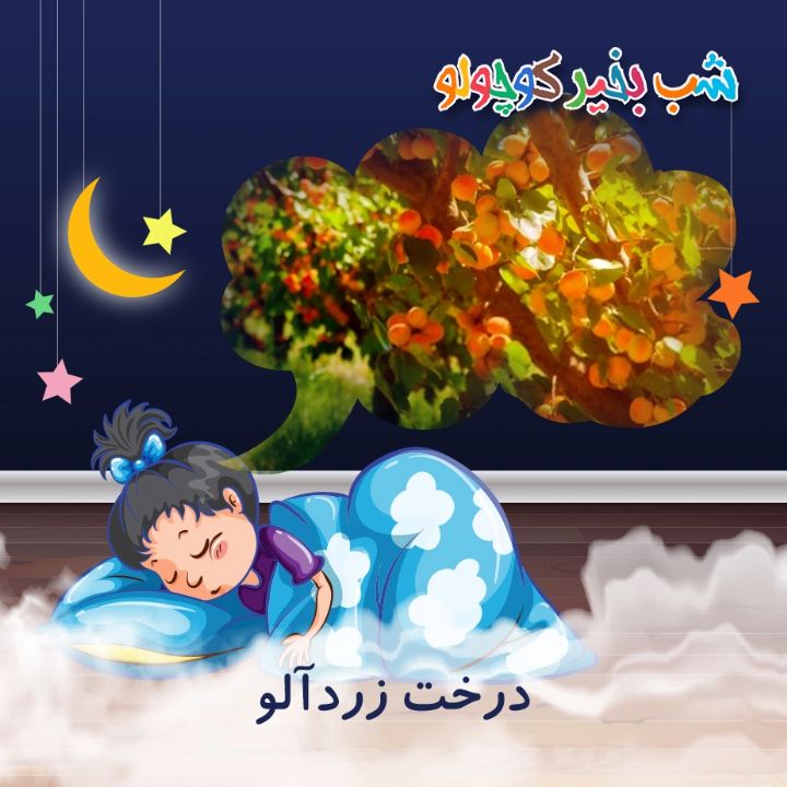 جلد کتاب صوتی درخت زردآلو (501831)