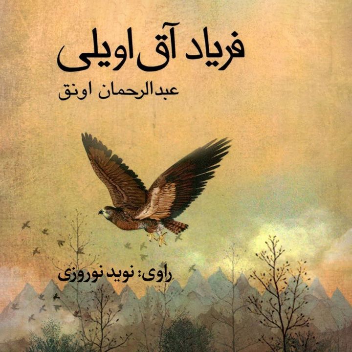 جلد کتاب صوتی فریاد آق اویلی