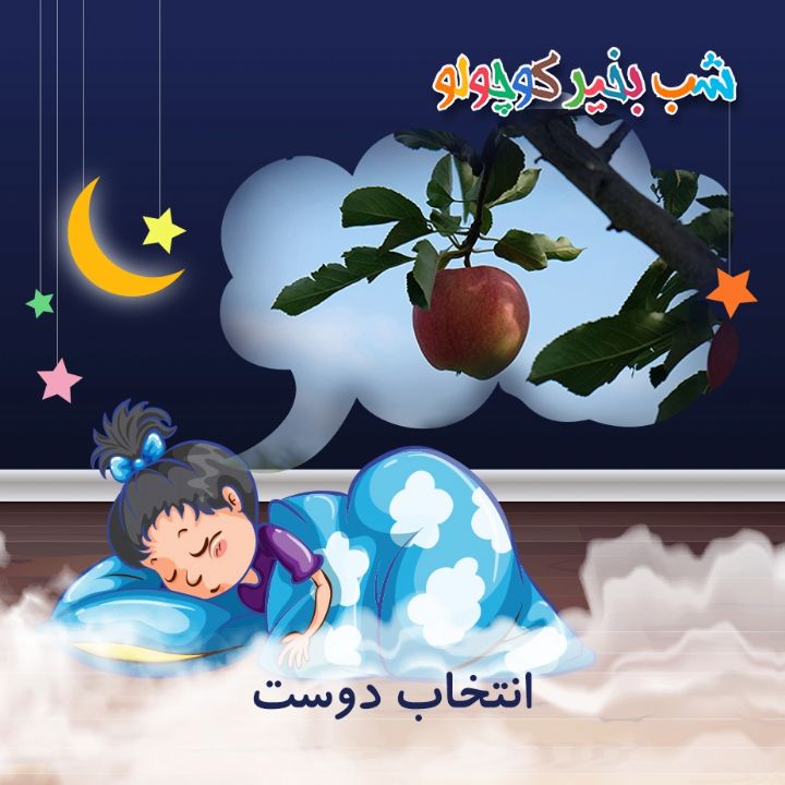 جلد کتاب صوتی انتخاب دوست