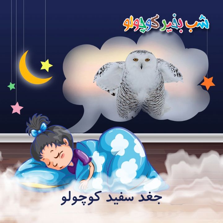 جلد کتاب صوتی جغد سفید کوچولو