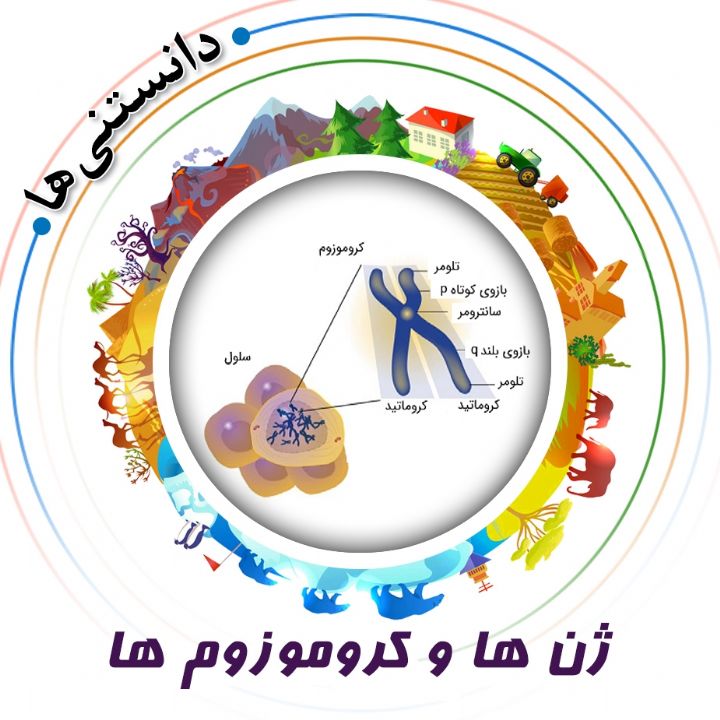 جلد کتاب صوتی ژن‌ ها و کروموزوم‌ ها