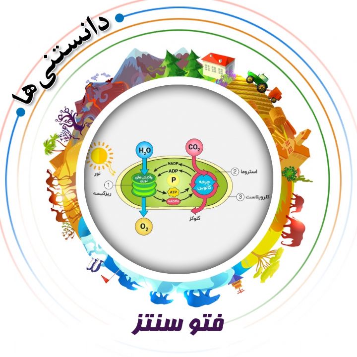 جلد کتاب صوتی فتوسنتز