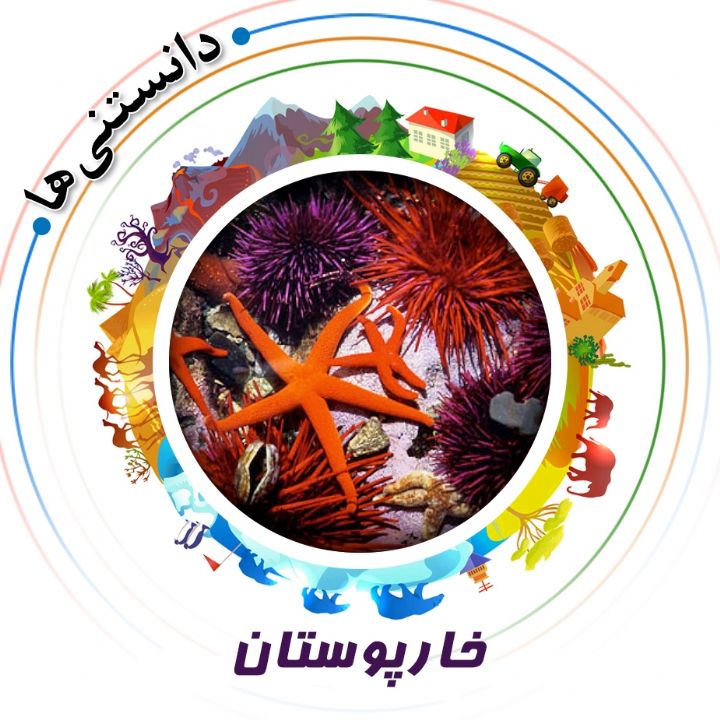 جلد کتاب صوتی خارپوستان