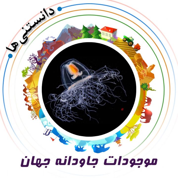 جلد کتاب صوتی موجودات جاودانه‌ جهان