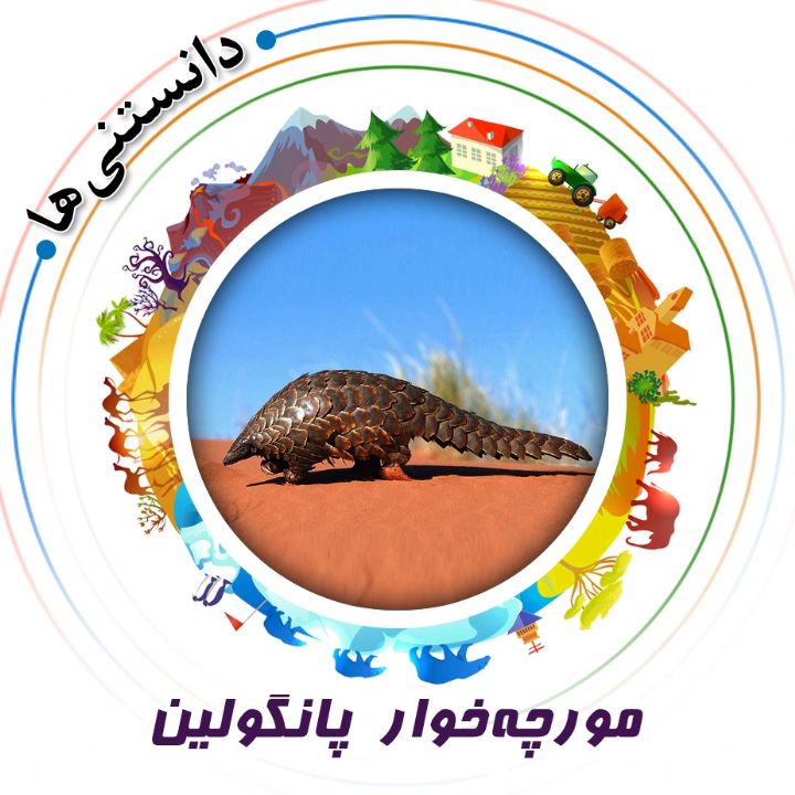 جلد کتاب صوتی مورچه‌خوار پانگولین