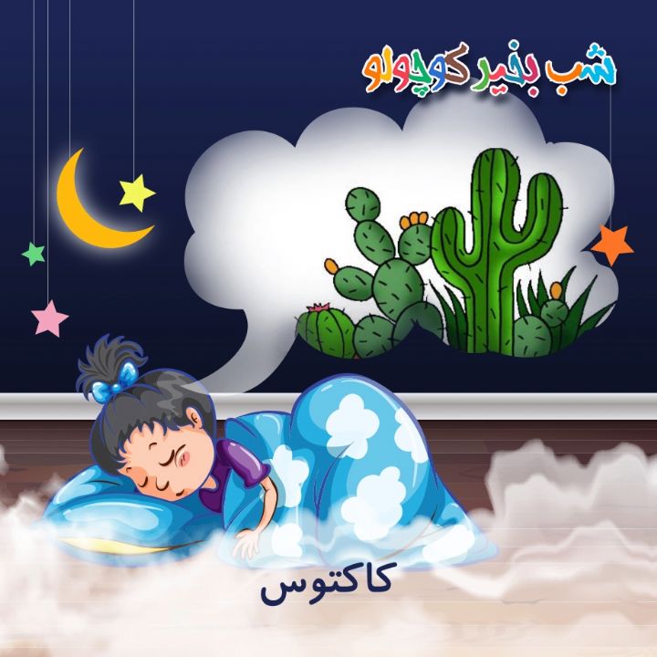 جلد کتاب صوتی کاکتوس