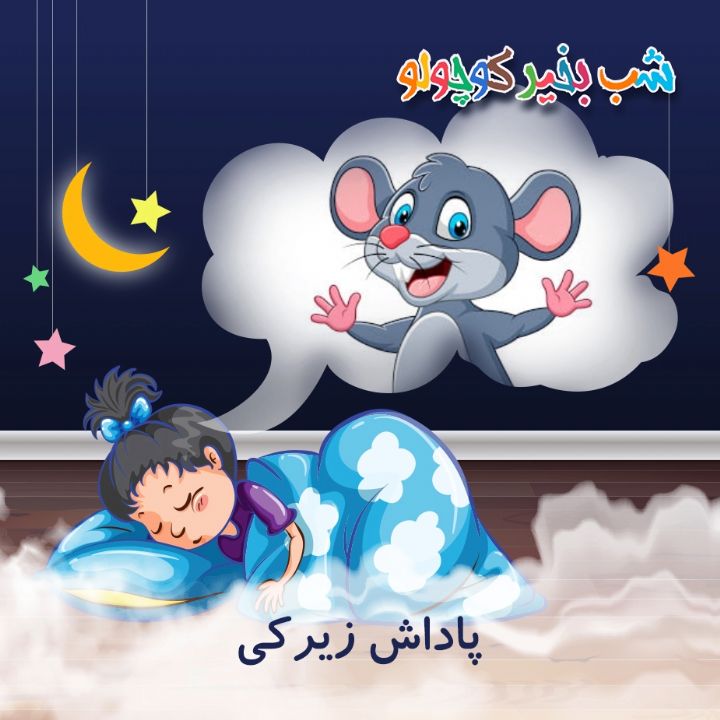 جلد کتاب صوتی پاداش زیرکی