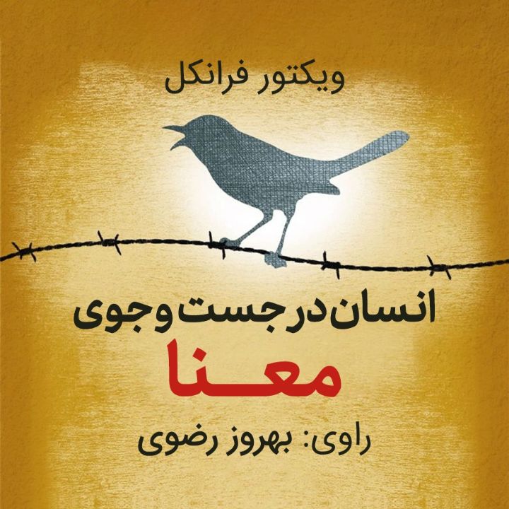 جلد کتاب صوتی انسان در جست‌وجوی معنا