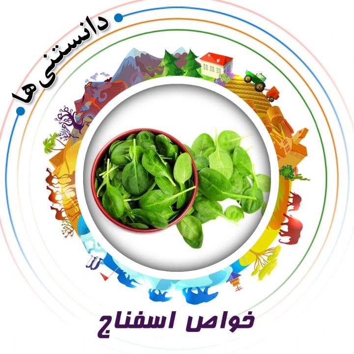 جلد کتاب صوتی خواص اسفناج