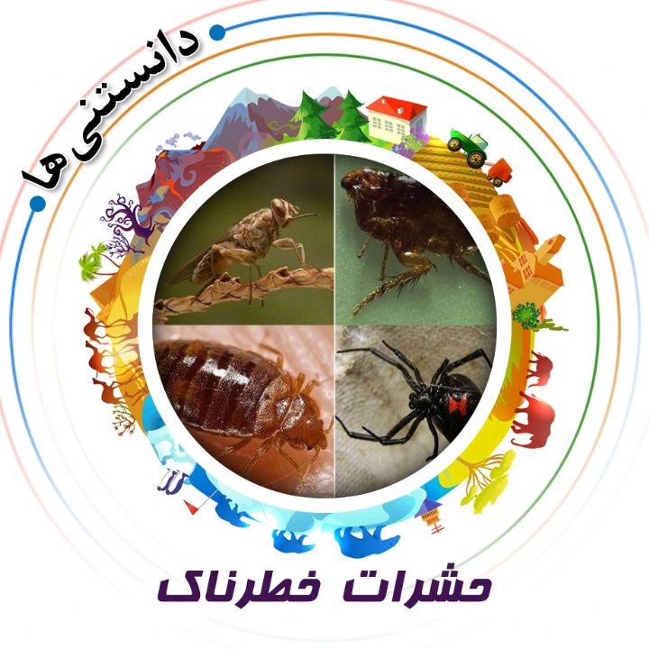 جلد کتاب صوتی حشرات خطرناک