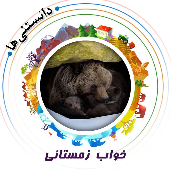 جلد کتاب صوتی خواب زمستانی (علیرضا مجیدی)