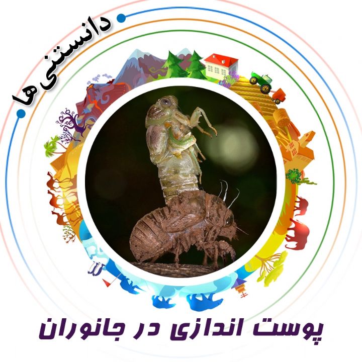 جلد کتاب صوتی پوست اندازی در جانوران