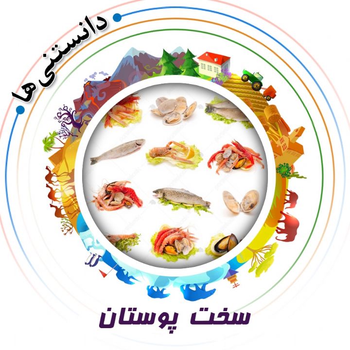جلد کتاب صوتی سخت‌ پوستان