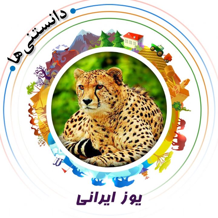 جلد کتاب صوتی یوز ایرانی