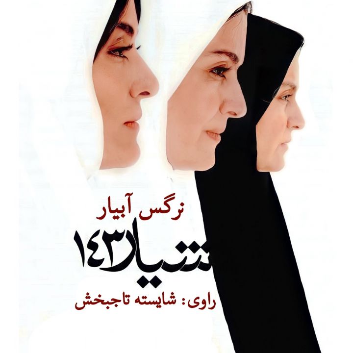 جلد کتاب صوتی شیار 143