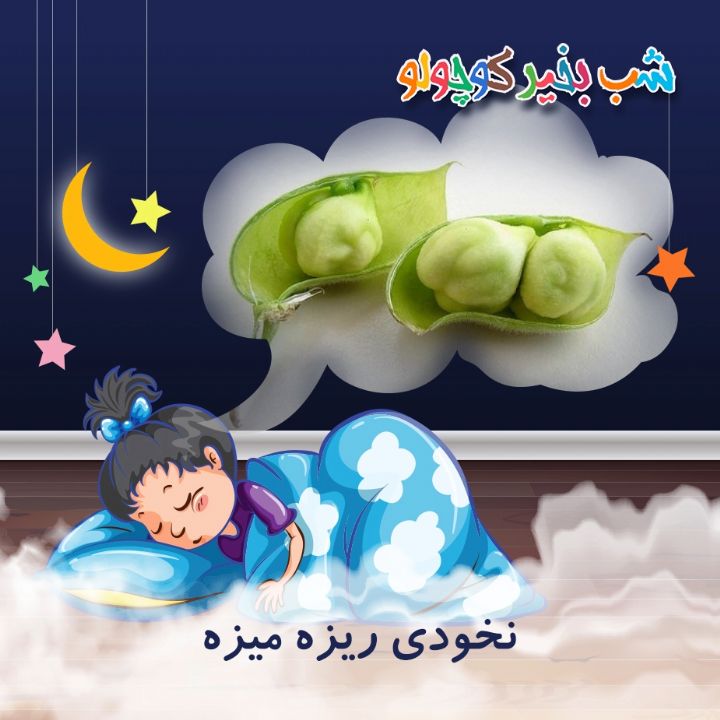 جلد کتاب صوتی نخودی ریزه میزه