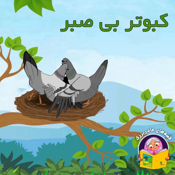 جلد کتاب صوتی کبوتر بی صبر (نصراله منشی)
