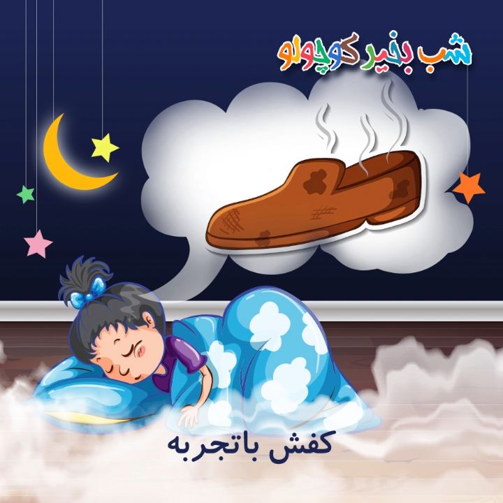 جلد کتاب صوتی کفش باتجربه