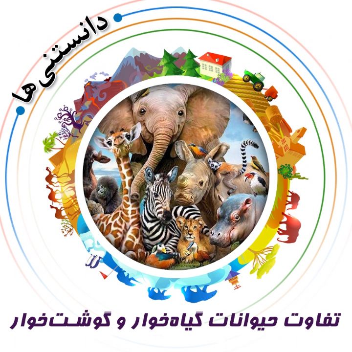 جلد کتاب صوتی تفاوت حیوانات گیاهخوار و گوشتخوار