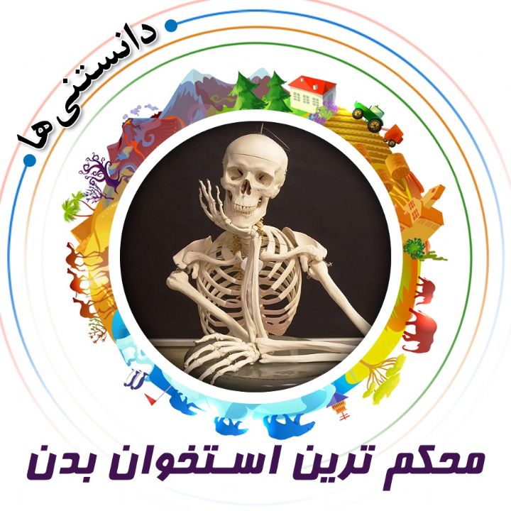 جلد کتاب صوتی محکم‌ ترین استخوان بدن