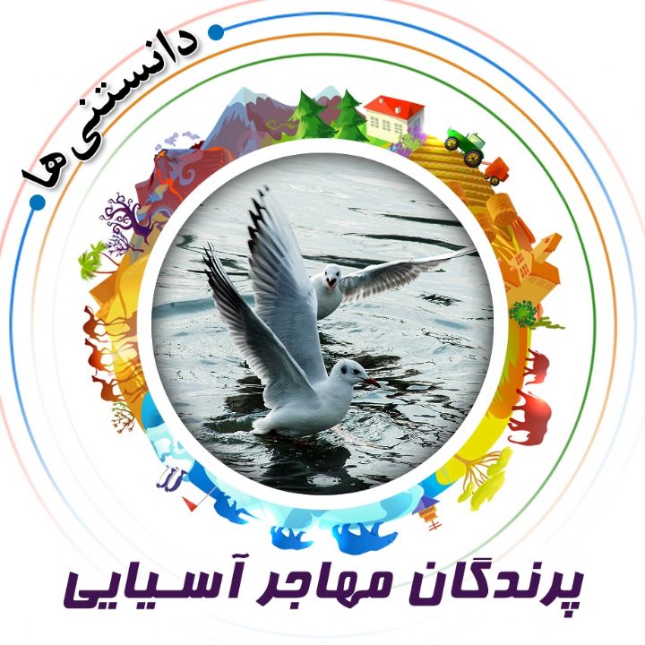 جلد کتاب صوتی پرندگان مهاجر آسیایی
