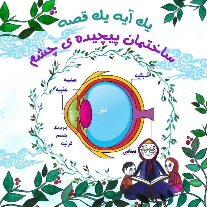 جلد کتاب صوتی ساختمان پیچیده ی چشم