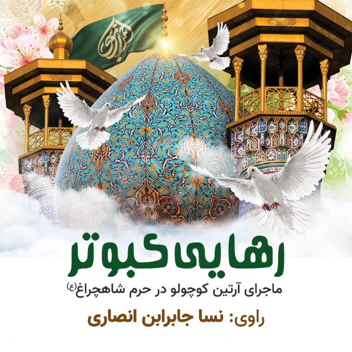 جلد کتاب صوتی رهایی کبوتر