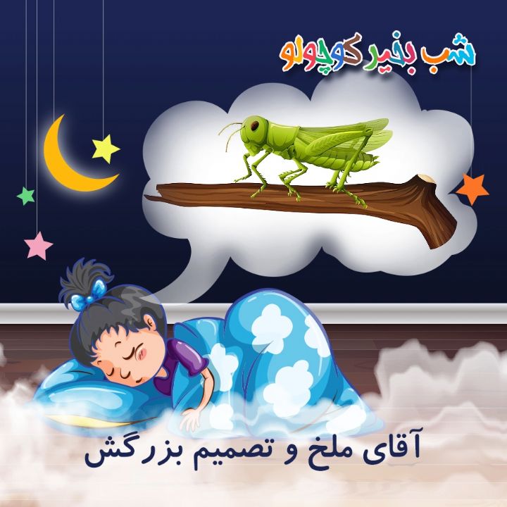 جلد کتاب صوتی آقای ملخ و تصمیم بزرگش