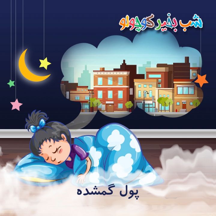 جلد کتاب صوتی پول گمشده