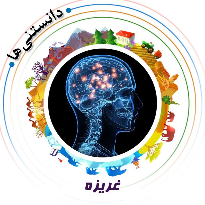 جلد کتاب صوتی غریزه