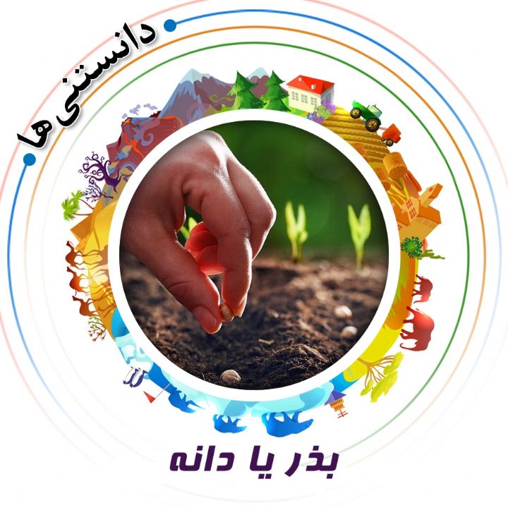 جلد کتاب صوتی بذر یا دانه