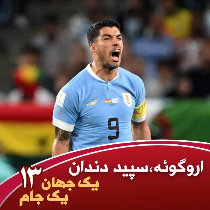 جلد کتاب صوتی یک جهان یک جام؛ سیزدهم، سپید دندان