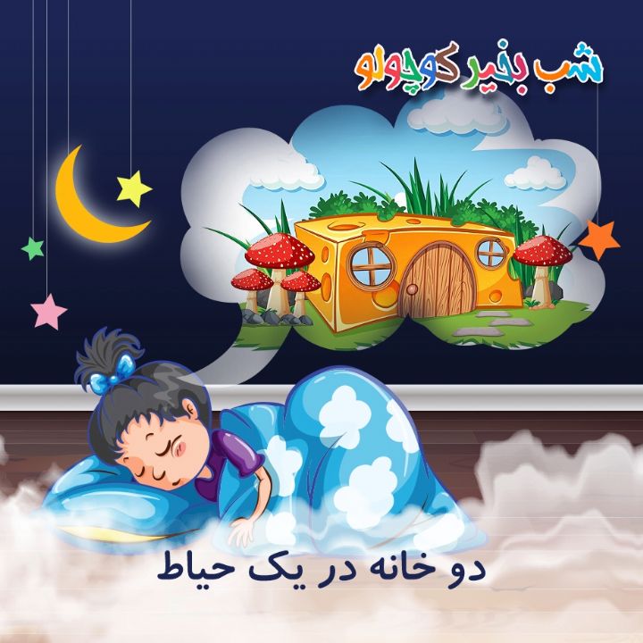 جلد کتاب صوتی دو خانه در یک حیاط