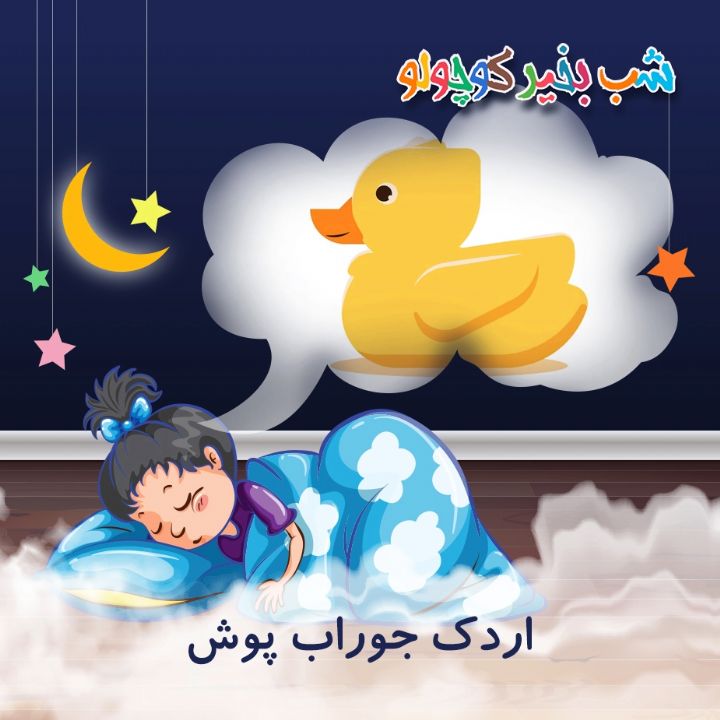 جلد کتاب صوتی اردک جوراب پوش