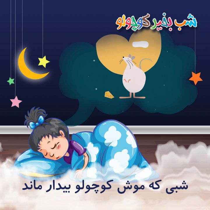 جلد کتاب صوتی شبی که موش کوچولو بیدار ماند