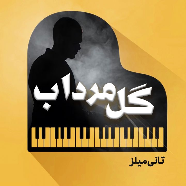 جلد کتاب صوتی گل مرداب