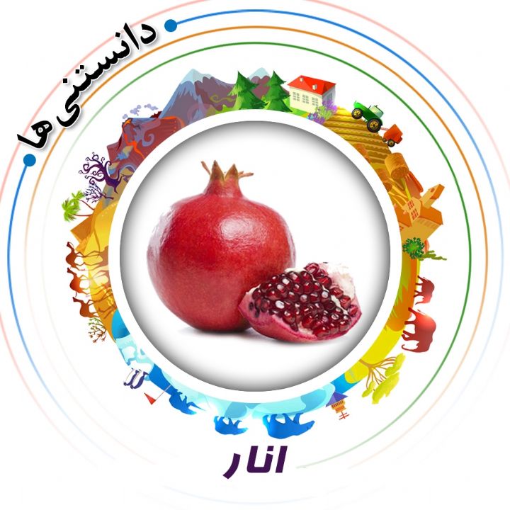 جلد کتاب صوتی انار (علیرضا مجیدی)