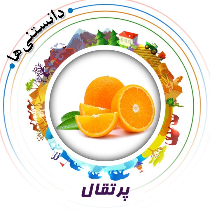 جلد کتاب صوتی پرتقال