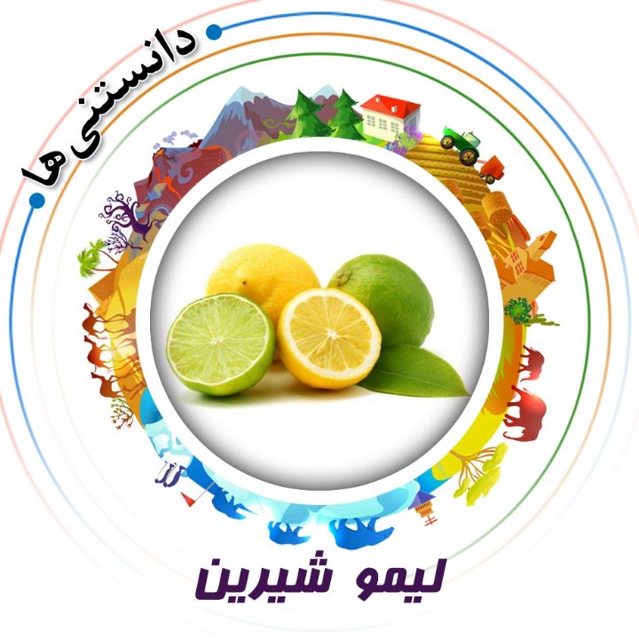 جلد کتاب صوتی لیمو شیرین