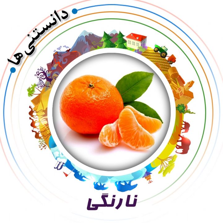 جلد کتاب صوتی نارنگی