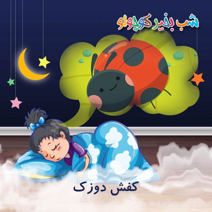 جلد کتاب صوتی کفش دوزک