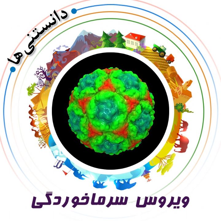 جلد کتاب صوتی ویروس سرماخوردگی
