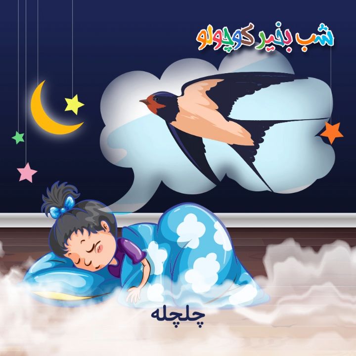 جلد کتاب صوتی چلچله