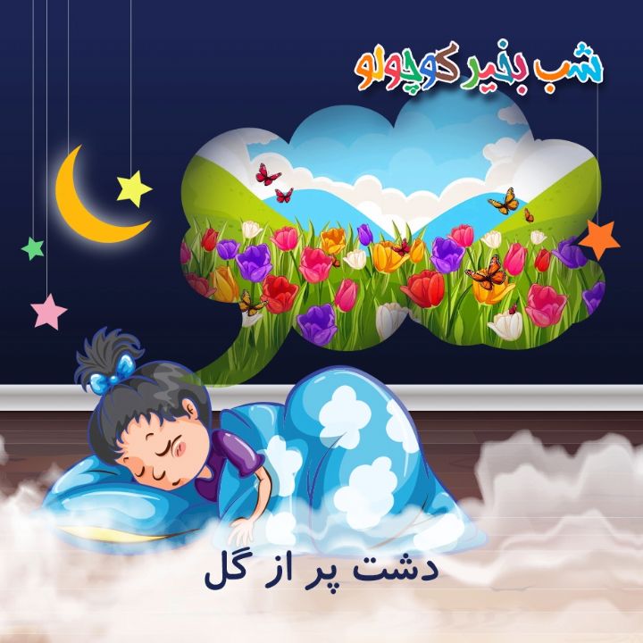 جلد کتاب صوتی دشت پر از گل